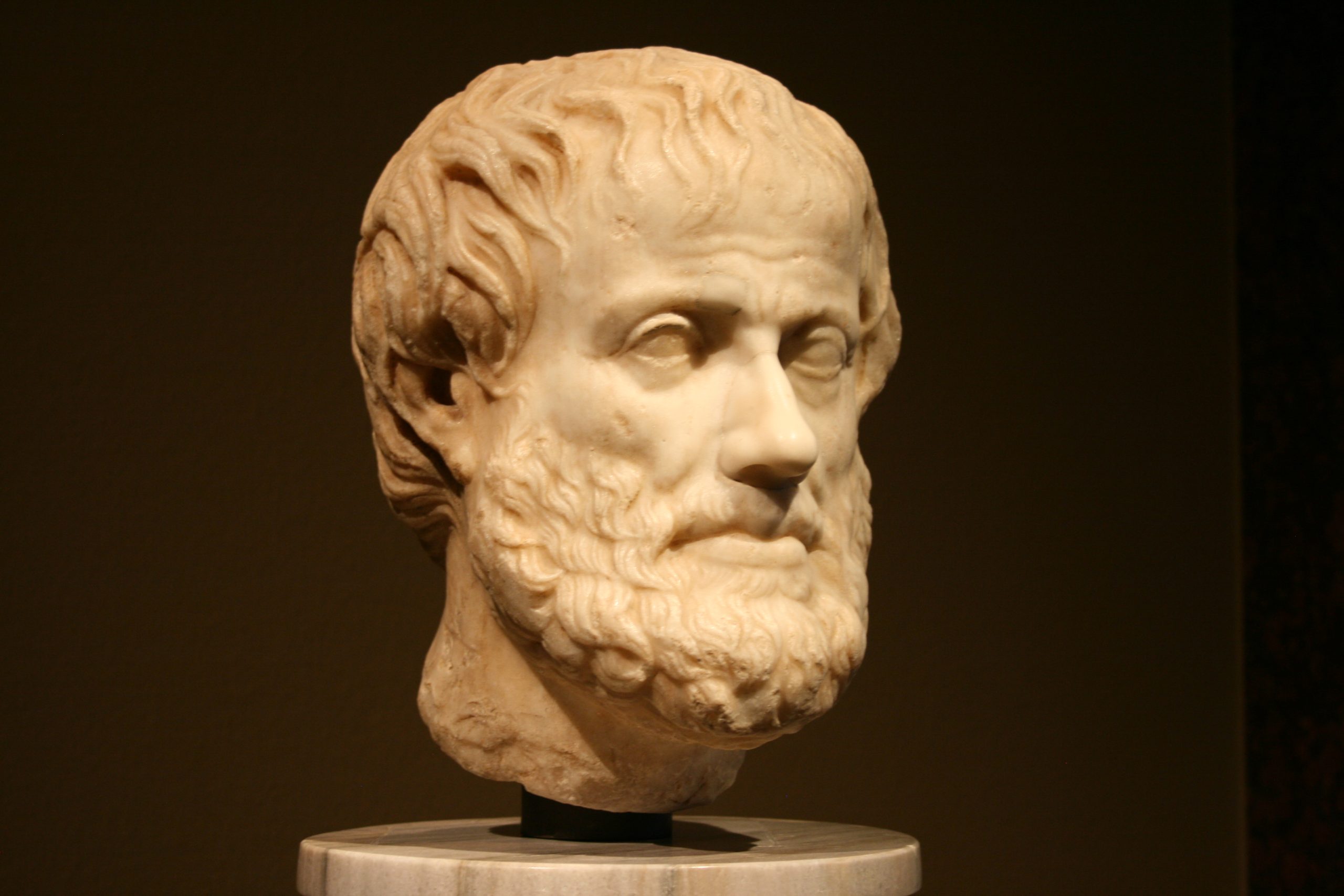 Philosophers Head